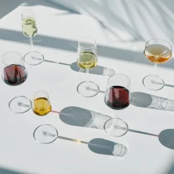 IITTALA Essence Champagne 21cl 2pk