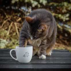 PORSGRUNDS PORSELÆNSFABRIK Porsgrunds Porselænsfabrik Hashtag Krus 38 cl Livet Er Best Med Katt