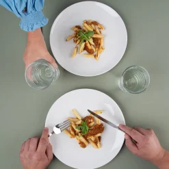 PORSGRUNDS PORSELÆNSFABRIK Porsgrunds Porselænsfabrik Studentpakke 12 Deler