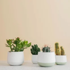 PORSGRUNDS PORSELÆNSFABRIK Porsgrunds Porselænsfabrik Nordic Light Lyslykt 10cm Hvit