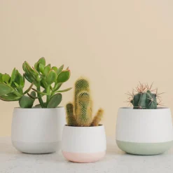 PORSGRUNDS PORSELÆNSFABRIK Porsgrunds Porselænsfabrik Nordic Light Lyslykt 10cm Hvit